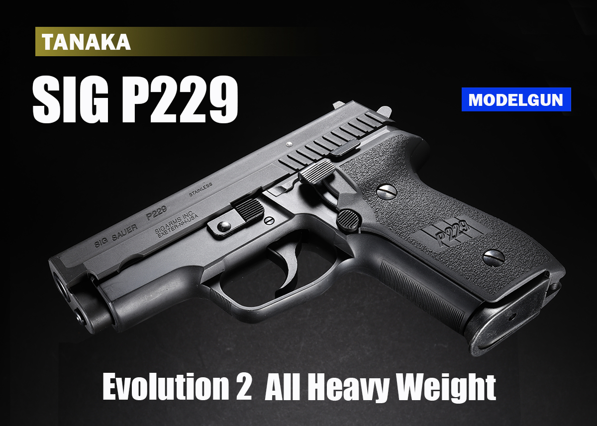 ★タナカワークス SIG SAUER P229 タナカ SIG SAUER P229 EVO2 Frame HW レビュー | お座敷