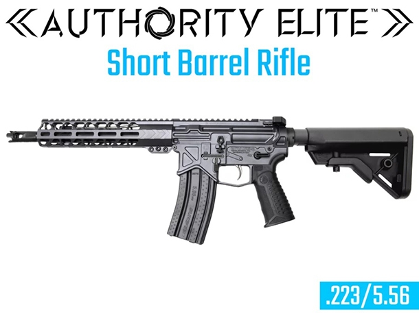 Autority Elite 10"