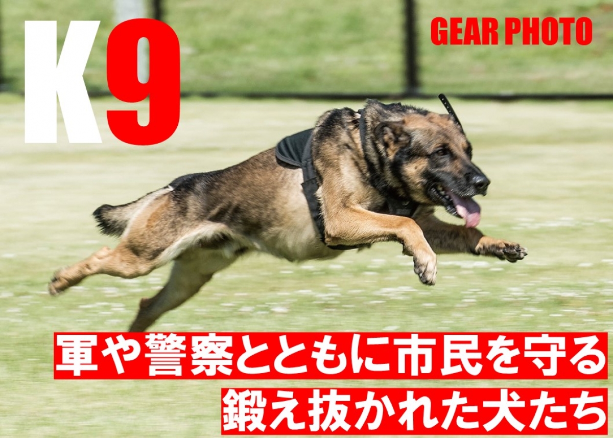K9 ～軍や警察とともに市民を守る、鍛え抜かれた犬たち～【GEAR PHOTO 